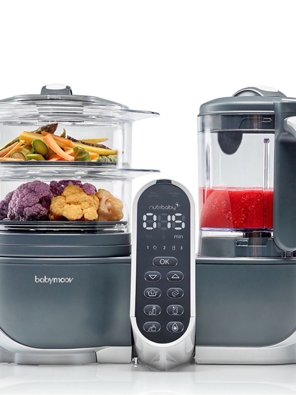 babymoov 2-in-1 Gray Baby Food Maker with Steam & Blend